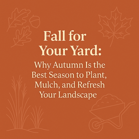 Fall for Your Yard: Why Autumn Is the Best Season to Plant, Mulch, and Refresh Your Landscape