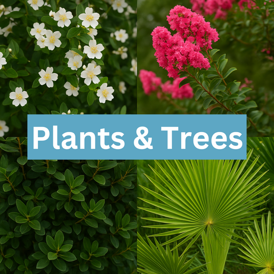 Plants / Trees