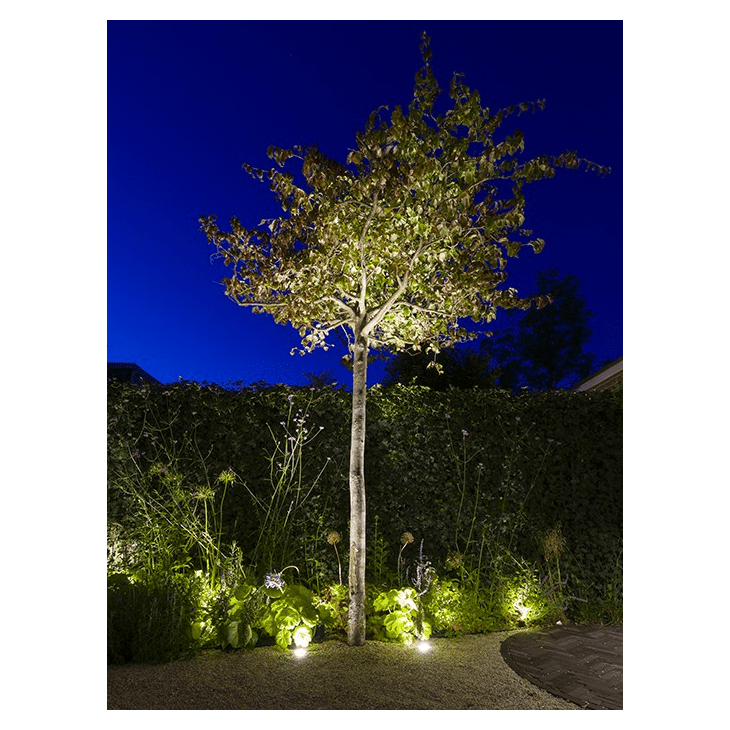 Load image into Gallery viewer, Recessed Light Big Flux
