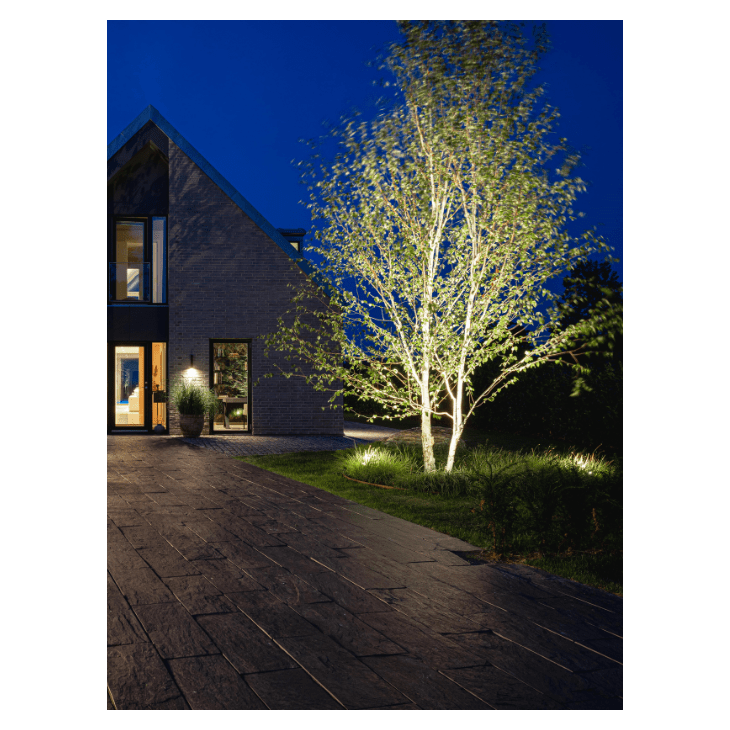 Load image into Gallery viewer, Big Scope
