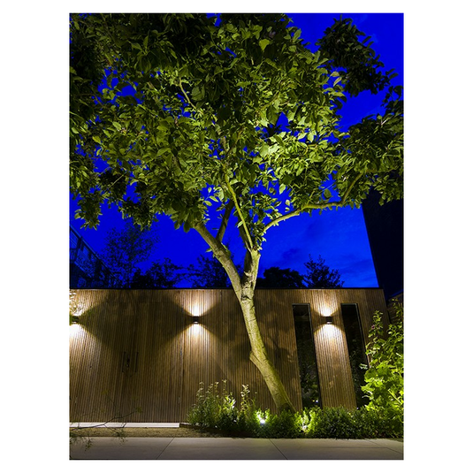 Big Scope Narrow