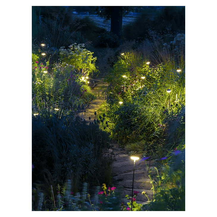 Load image into Gallery viewer, Sway- Extra Low
