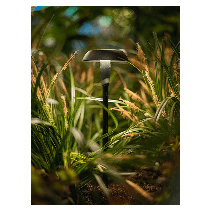 Load image into Gallery viewer, Mini Sway

