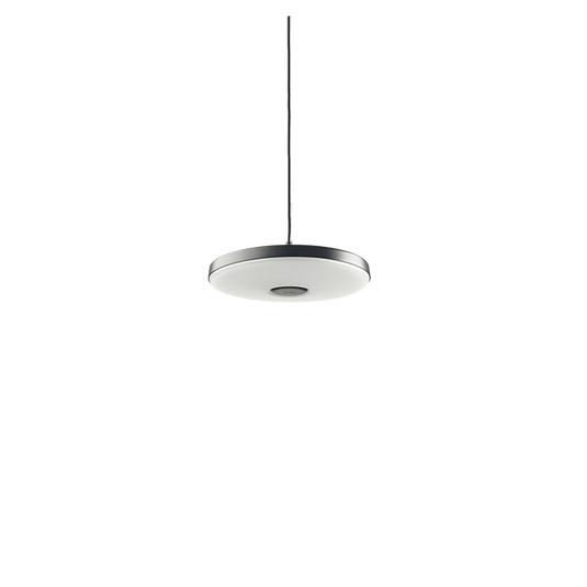 Disc Pendant